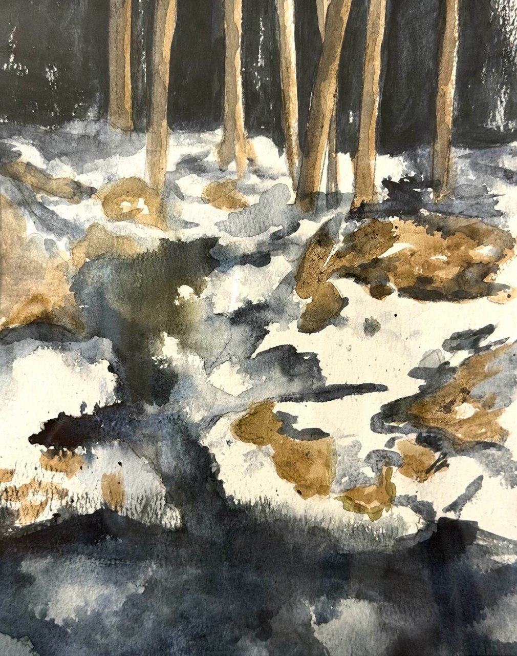 What the Snow Kept